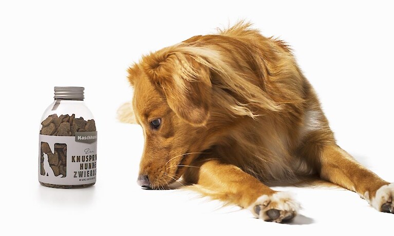 "Auf den Hund" gekommen: "Naschhund" für gesunden Knabberspass